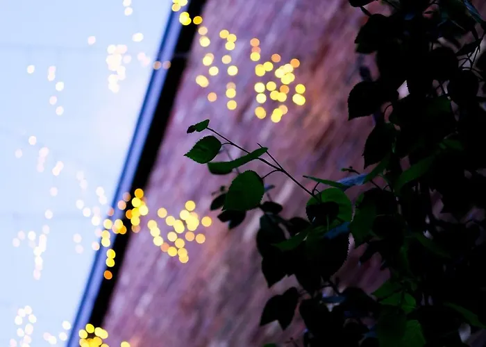 The Eden Warehouse - Pink Apartment